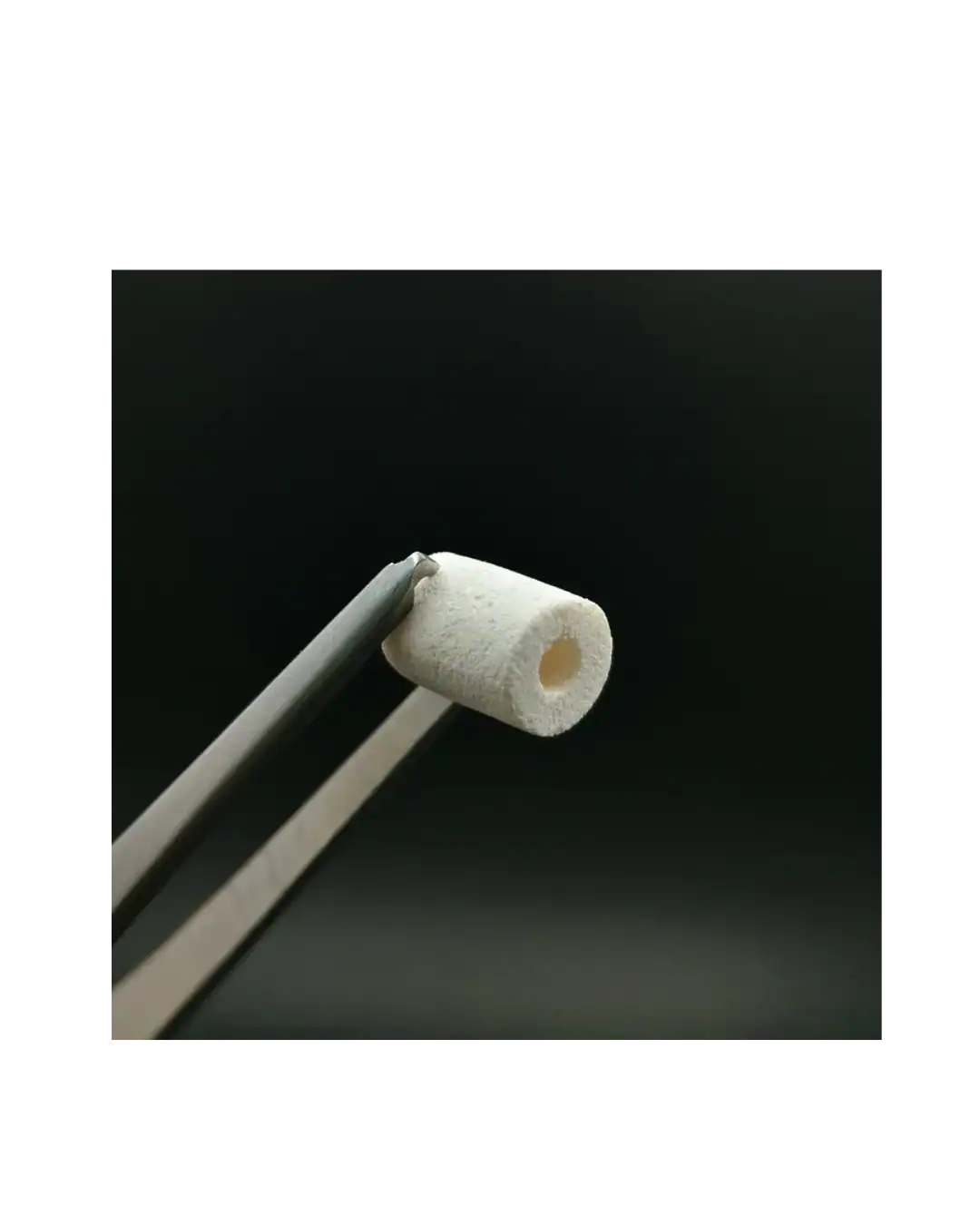 Fix Oss Block – Cylinder Spongious Bone Block Fix Oss Block – Cylinder Spongious Bone Block