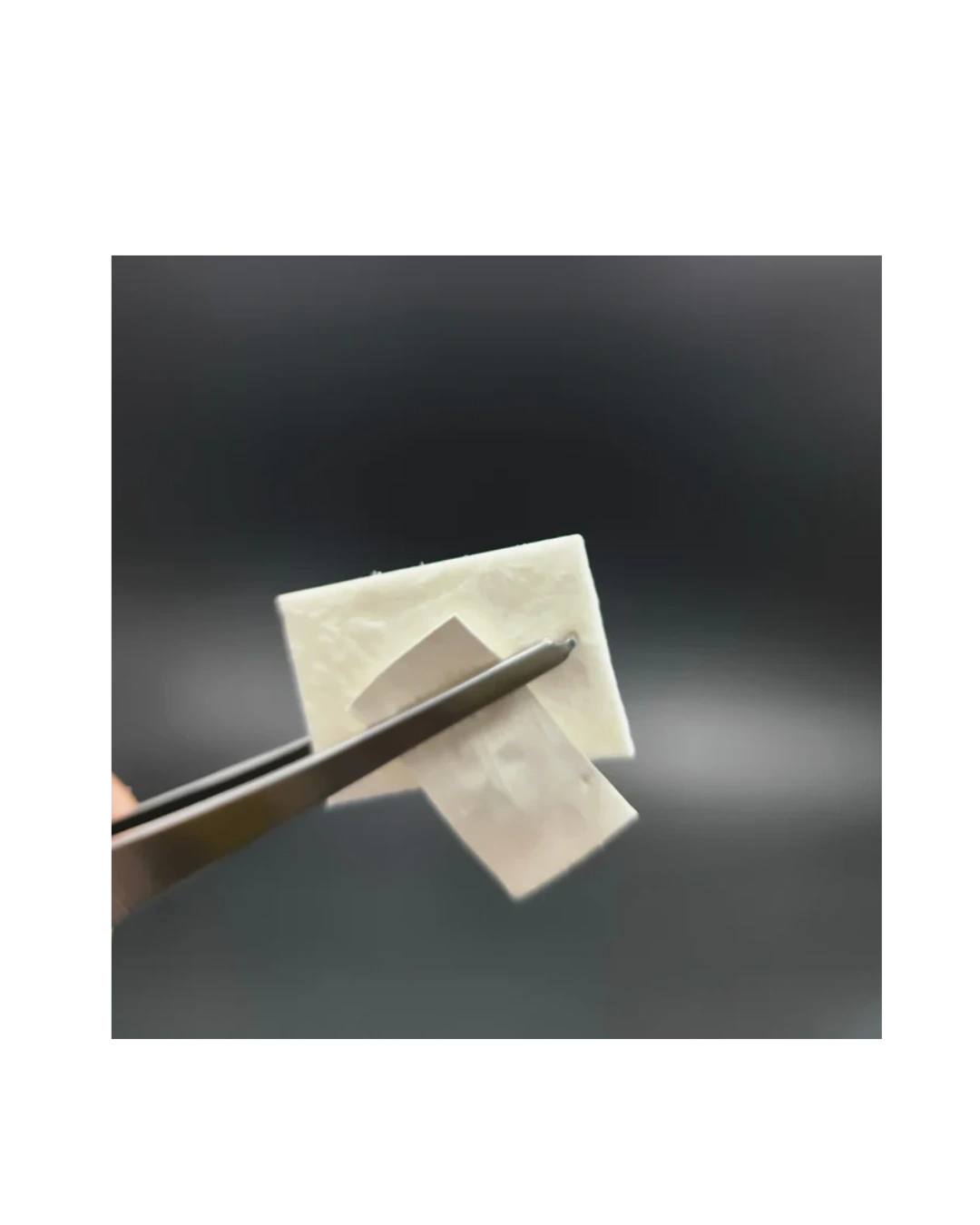 Fix Gide Gtr Membrane | Sterile resorbable Collagen membrane